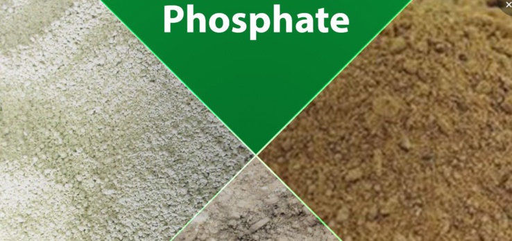 Le phosphate du Sénégal tombe de son piédestal au premier trimestre 2019 Le phosphate du Sénégal tombe de son piédestal au premier trimestre 2019