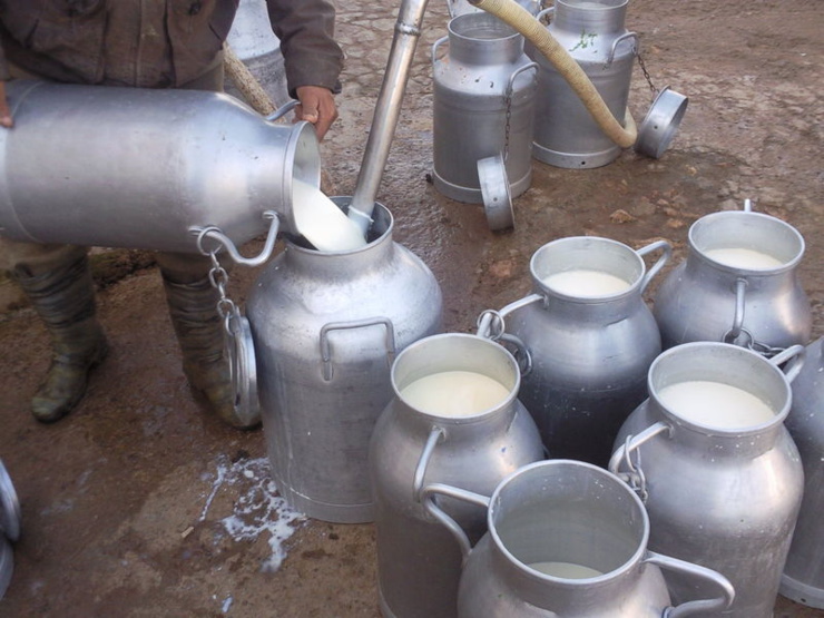 Une foire des innovations autour des solutions pour améliorer la collecte du lait
