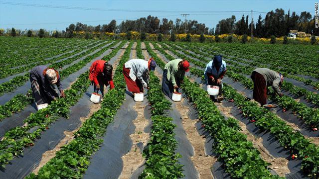 Le Programme d’options stratégiques pour le Sénégal (COSOP 2019-2024) du Fida vise à contribuer à la réduction de la pauvreté.