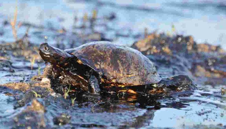 Les gros risques associés à l’exploitation du pétrole et du gaz sénégalais Les gros risques associés à l’exploitation du pétrole et du gaz sénégalais