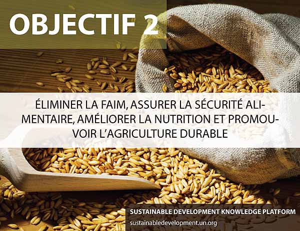 Le monde est bien loin de pouvoir atteindre les Objectifs de développement durable liés à l’alimentation et à l’agriculture Le monde est bien loin de pouvoir atteindre les Objectifs de développement durable liés à l’alimentation et à l’agriculture