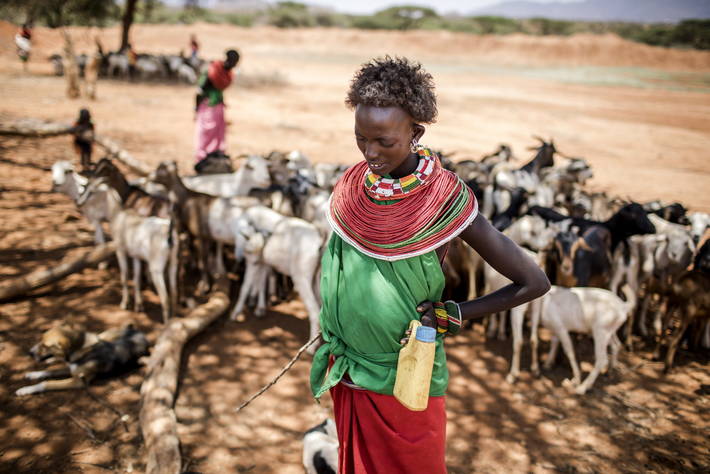 Lancement du rapport du GIEC sur le lien entre changement climatique, terres et alimentation