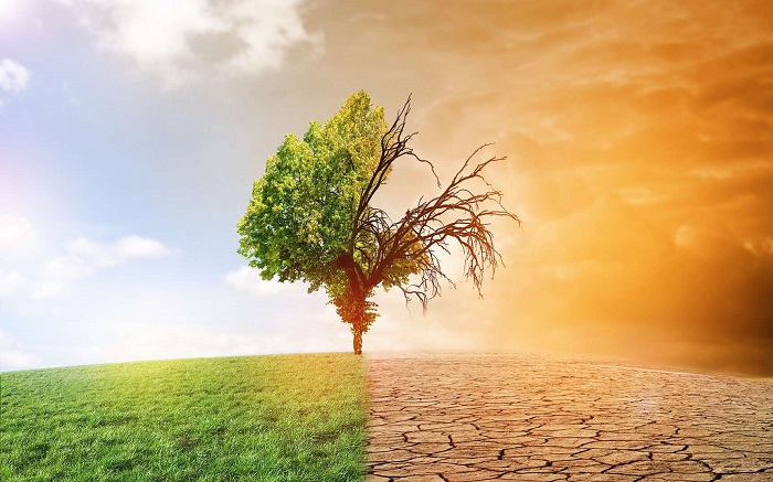 Les politiques fiscales pour lutter contre le changement climatique