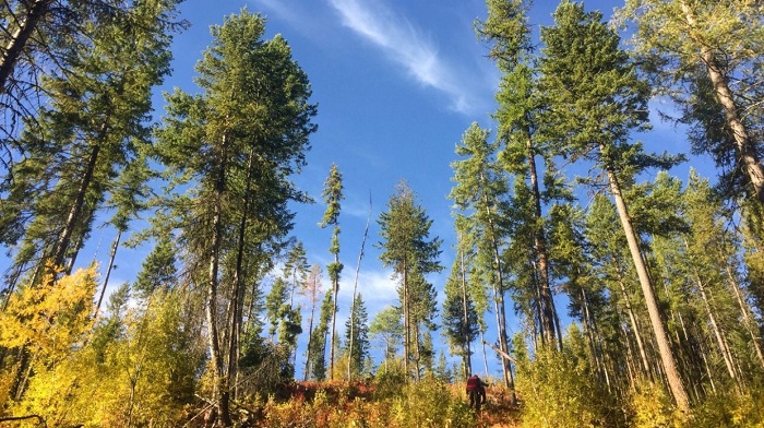 BP Ventures annonce un investissement de 5 millions USD dans Finite Resources Inc BP Ventures annonce un investissement de 5 millions USD dans Finite Resources Inc