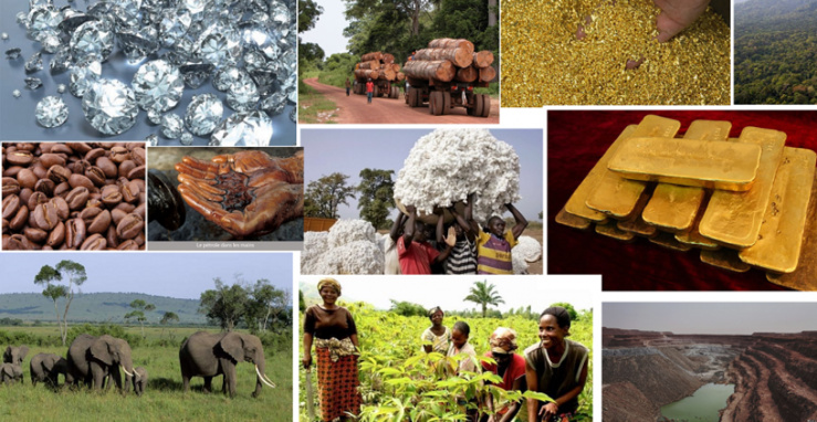 Economie centrafricaine Economie centrafricaine