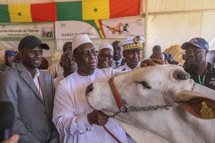 Journée nationale de l’élevage  au Sénégal