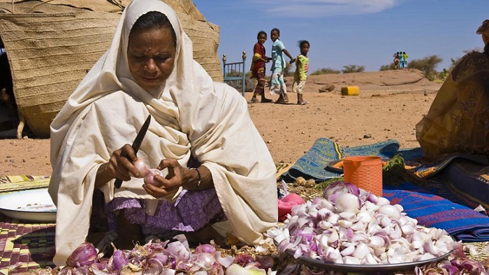 Economie nigérienne