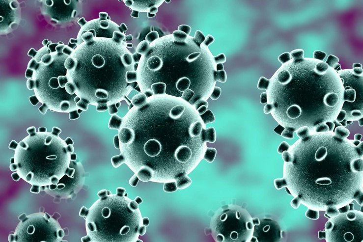 Du covid-19 au…au vide total ou les leçons de vie d’un virus