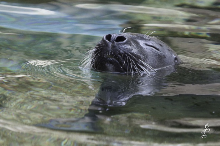 Industrie du voyage : le tourisme reprend son souffle Industrie du voyage : le tourisme reprend son souffle