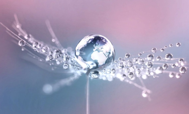 Stratégie d’implantation en Afrique : le Sénégal ouvre la voie à Bwt France Stratégie d’implantation en Afrique : le Sénégal ouvre la voie à Bwt France