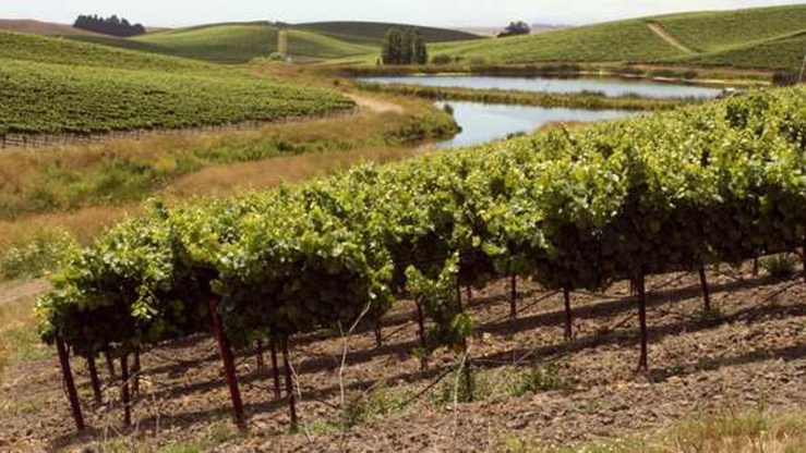 Les exportateurs privés font état de leurs ventes en Chine, en Corée du sud et dans destinations inconnues. Les exportateurs privés font état de leurs ventes en Chine, en Corée du sud et dans destinations inconnues.