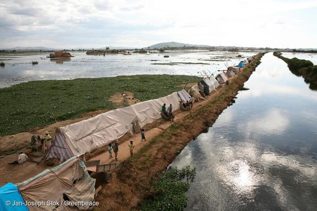 Les événements météorologiques extrêmes menacent la santé humaine, la sécurité alimentaire, la paix et la biodiversité dans de nombreuses régions d'Afrique.