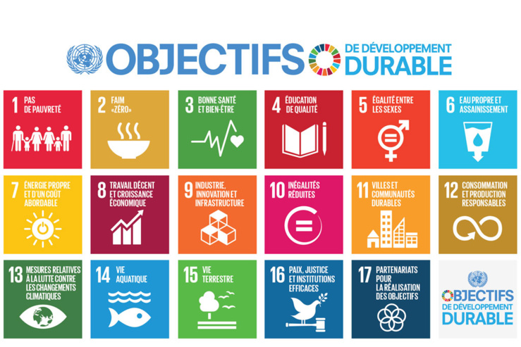 Objectifs du développement durable : lancement d’un programme pour organiser les investissements