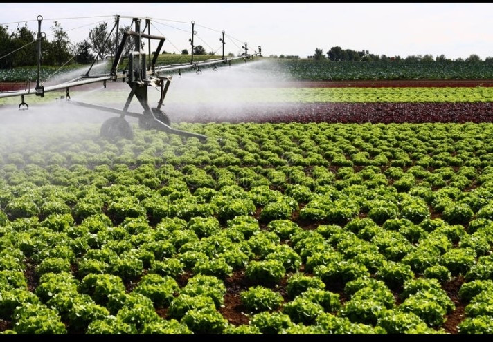 Irrigation solaire en Egypte.