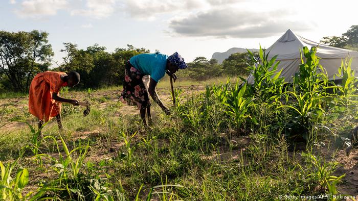 Balance des paiements Guinée Bissau : le taux de croissance situé à 4,5 pour cent en 2019