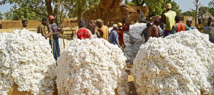 Balance des paiements Burkina Faso : le taux de croissance situé à 5,7 pour cent en 2019