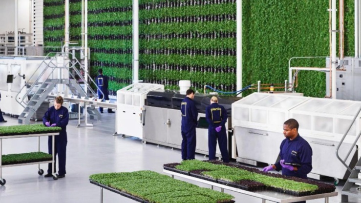 Agriculture intelligente.