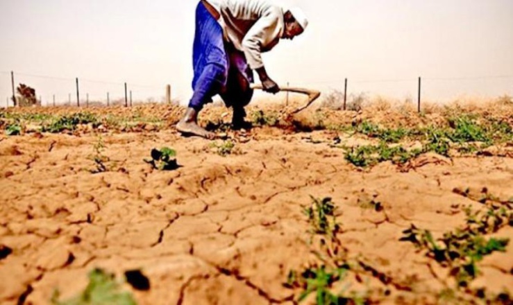 Risques humanitaires liés aux changements climatiques : ce que les assurances peuvent faire pour éviter le pire