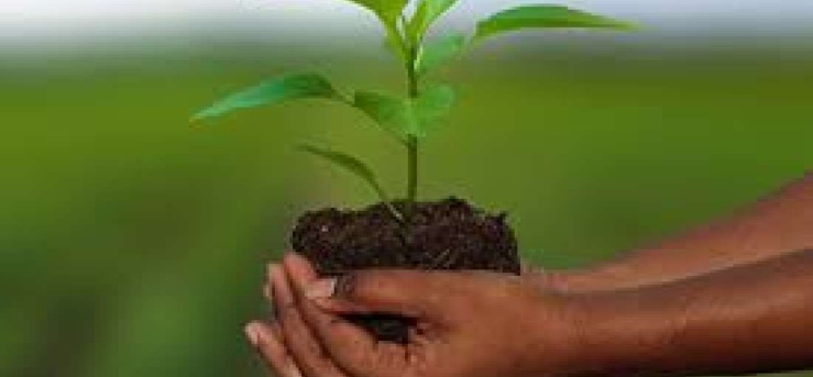 Compagnie nationale d’assurance agricole du Sénégal : 600 millions Fcfa d’indemnisation versés à 300.000 sinistrés