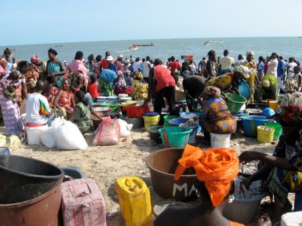 Journée internationale des droits des femmes: Greenpeace Afrique plaide pour des conditions de vie améliorées