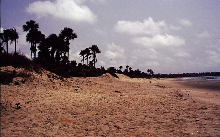 L'expansion des usines de farine et d'huile de poisson agace la communauté des agriculteurs de Gunjur. L'expansion des usines de farine et d'huile de poisson agace la communauté des agriculteurs de Gunjur.