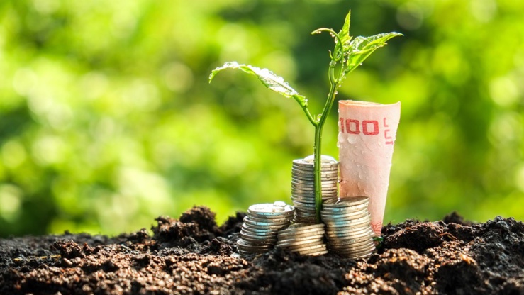 Financement de l'Agriculture en Afrique. Financement de l'Agriculture en Afrique.