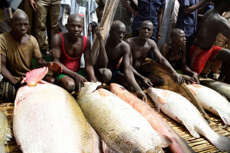 Nigéria : le développement socio-économique menacé par la pêche illégale Nigéria : le développement socio-économique menacé par la pêche illégale