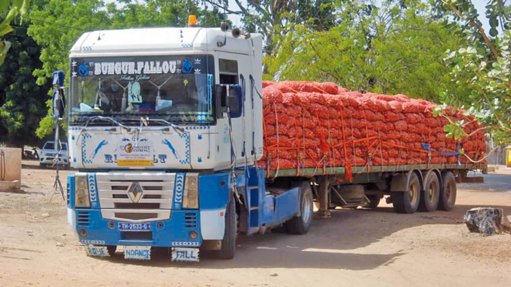 Sénégal : le geste à double impact du projet d’appui à la réduction de l’émigration rurale et à la réinsertion dans le bassin arachidier Sénégal : le geste à double impact du projet d’appui à la réduction de l’émigration rurale et à la réinsertion dans le bassin arachidier