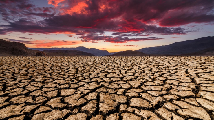(PHOTO : GETTY IMAGES) (PHOTO : GETTY IMAGES)