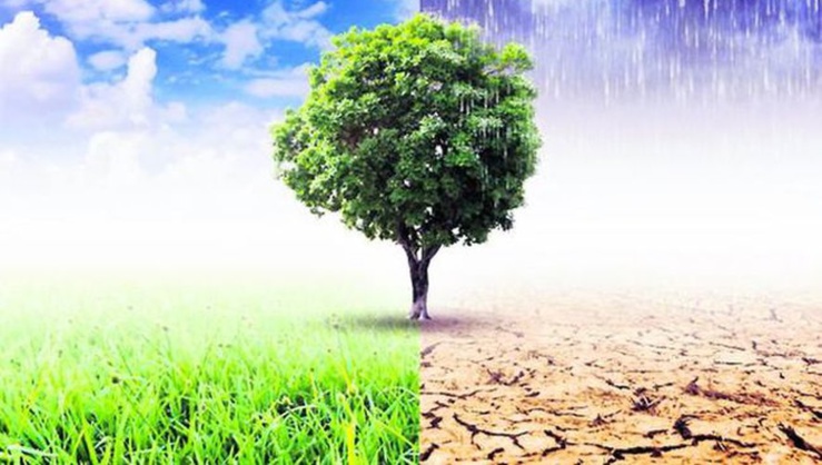 Quel lien entre sensibilité au climat et rendement des obligations des entreprises privées dans la zone euro ?