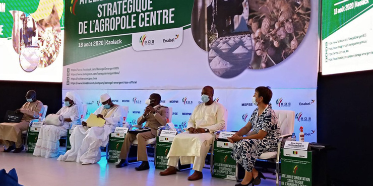 Projet de zone de transformation agro-industrielle du centre du Sénégal: la bad et ses partenaires en mission pour recueillir les informations et déterminer la faisabilité du projet