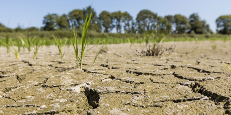 Afrique: publication d'une nouvelle boîte à outil pour éduquer les jeunes sur les impacts locaux du changement climatique