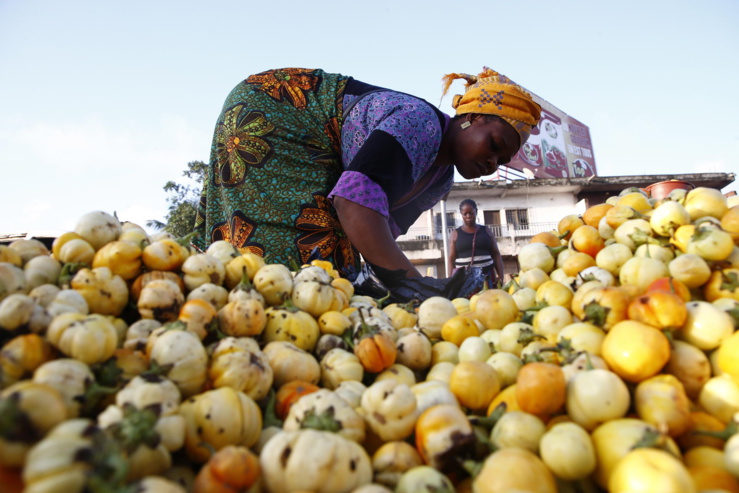 L’initiative Un pays – un produit prioritaire