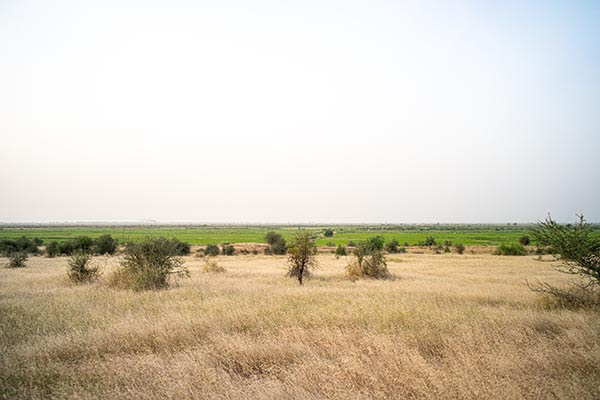 Burkina Faso : Africa REN lance la construction de la plus grande centrale solaire du pays