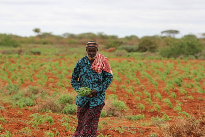 Sécurité alimentaire au Somalie Sécurité alimentaire au Somalie
