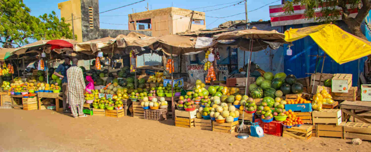 sénégal : une agriculture transformée et plus performante avec le soutien de la banque africaine de développement