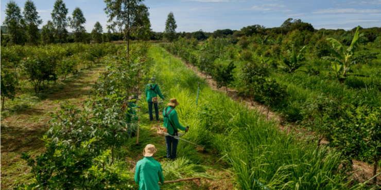 la Banque africaine de développement adopte une nouvelle politique sur le financement multi-tranches la Banque africaine de développement adopte une nouvelle politique sur le financement multi-tranches