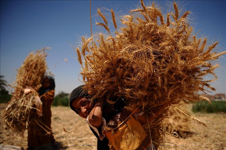l'afrique ressent les effets de la guerre en ukraine l'afrique ressent les effets de la guerre en ukraine