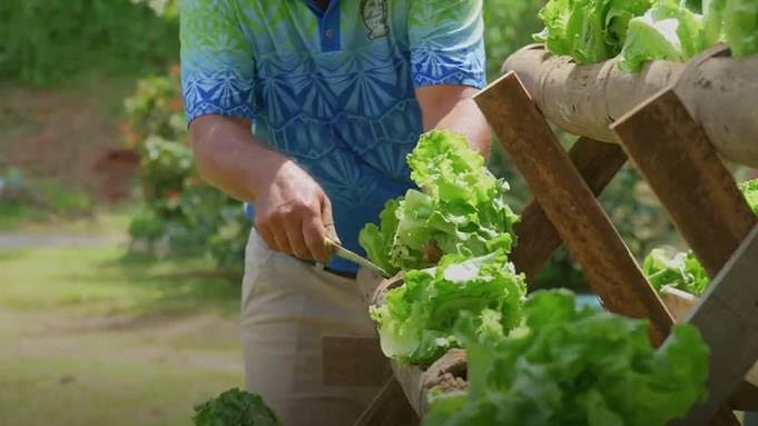 l’application pour smartphone qui aide les fidjiens à acquérir de saines habitudes alimentaires l’application pour smartphone qui aide les fidjiens à acquérir de saines habitudes alimentaires