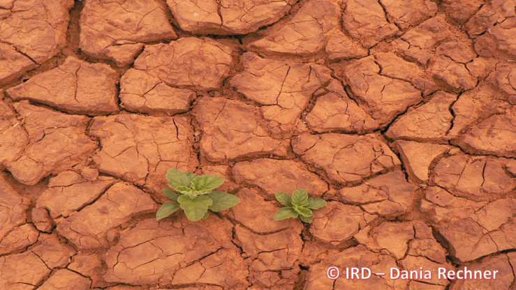 lutte contre la désertification : cop15 de la convention des nations unies (cnulcd) à abidjan du 9 au 20 mai 2022 lutte contre la désertification : cop15 de la convention des nations unies (cnulcd) à abidjan du 9 au 20 mai 2022