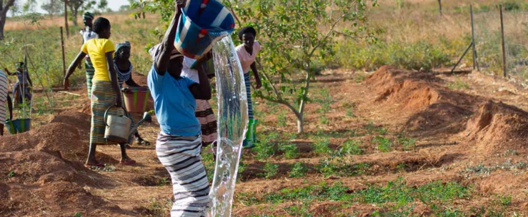 l'afrique est-elle prête pour la croissance verte ? l'afrique est-elle prête pour la croissance verte ?
