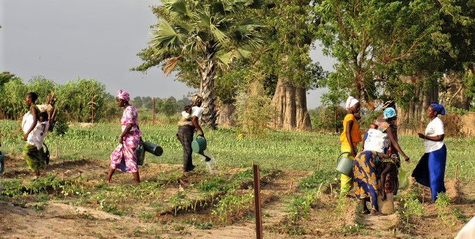 entrepreneuriat féminin au sénégal : les défis de l’école de la dirigeante