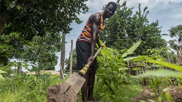 L’initiative internationale Food & Agriculture Resilience Mission L’initiative internationale Food & Agriculture Resilience Mission