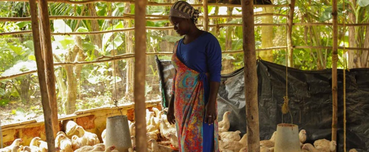 agro-industrie : la côte d'ivoire lance un projet gigantesque à fort impact économique et social