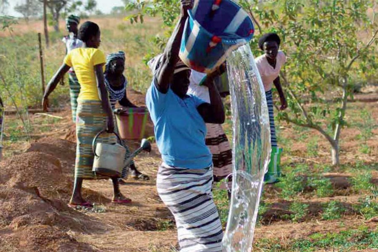 climat : sept pays africains dont le sénégal sur la voie de la croissance verte