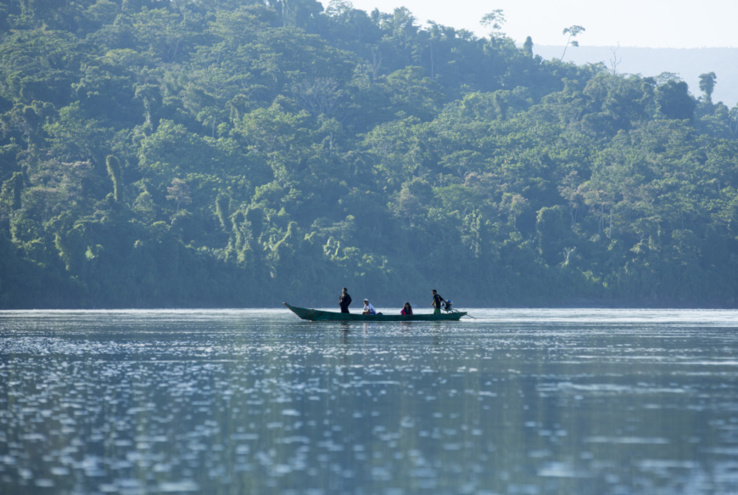 Un nouveau rapport expose la menace que fait peser l'expansion des combustibles fossiles sur les forêts tropicales africaines, essentielles pour le climat. Un nouveau rapport expose la menace que fait peser l'expansion des combustibles fossiles sur les forêts tropicales africaines, essentielles pour le climat.