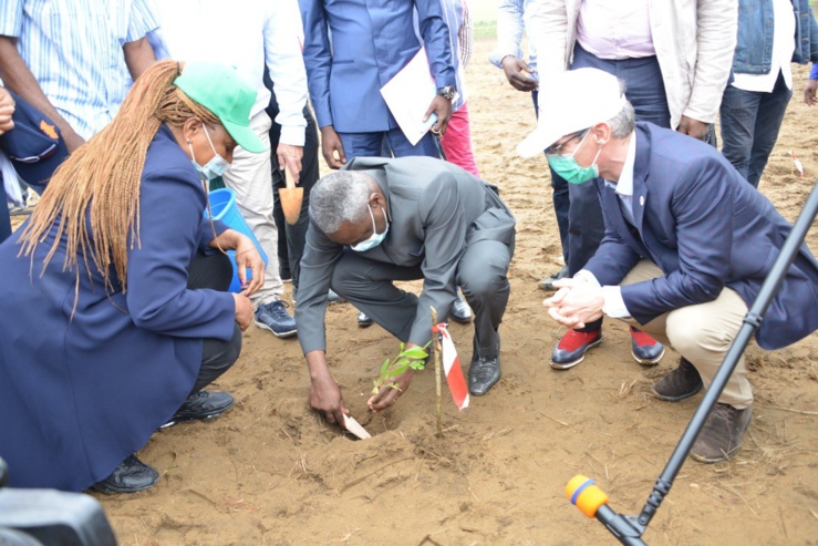 projet bacasi au congo : totalenergies répond à mediapart, sky news, greenpeace uk et source material