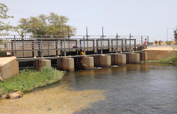 accès à l’eau dans la zone du ferlo : 156 milliards de l'Etat sénégalais pour la première phase du projet de renforcement de la résilience des ecosystèmes -preferlo (Macky)