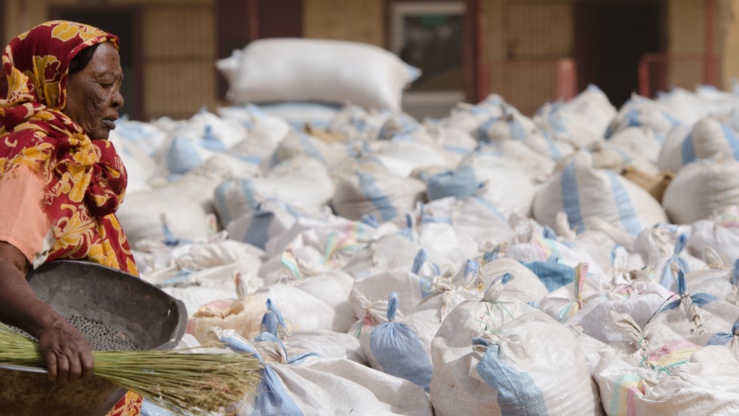 photo_salahaldeen_nadir_world_bank_003 photo_salahaldeen_nadir_world_bank_003