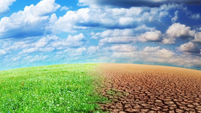 les états fragiles d'afrique sont les plus grandes victimes du changement climatique